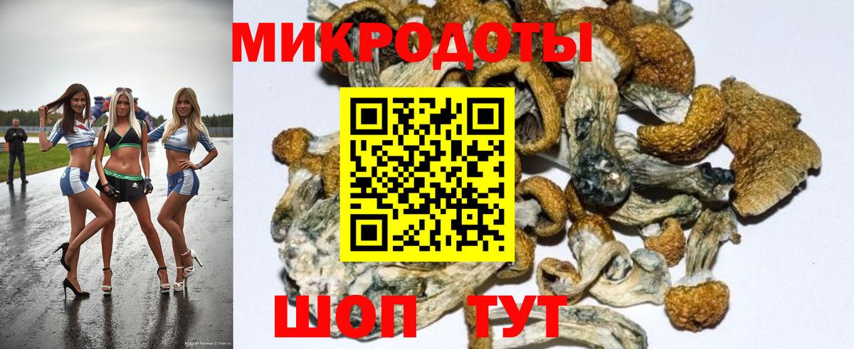 Галлюциногенные грибы Magic Shrooms Кашира